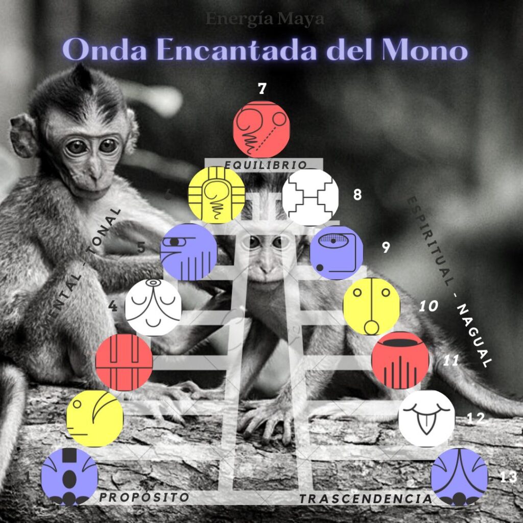 Onda Encantada del Mono